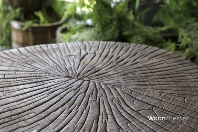 Bijzettafel schijf hout | China