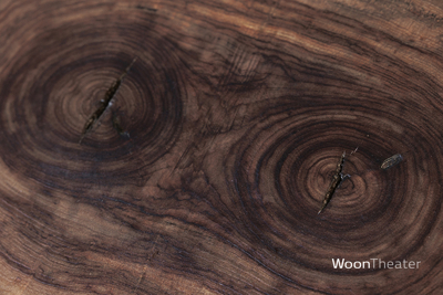 Bijzettafel schijf hout 
