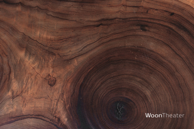 Salontafel schijf hout 