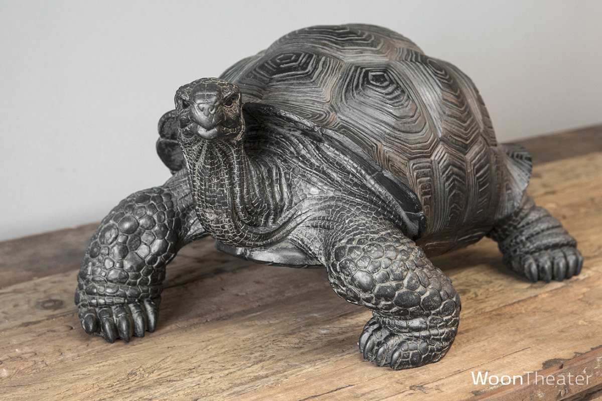 Decoratief beeld | schildpad