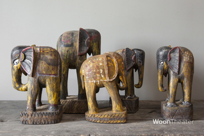 Bijzondere authentieke olifant | Nepal