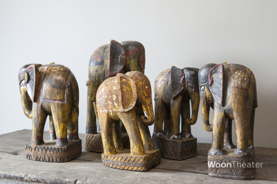Bijzondere authentieke olifant | Nepal