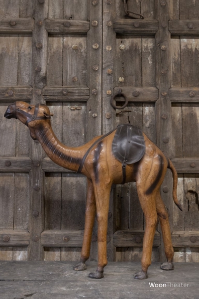 Beeld leder kameel | India
