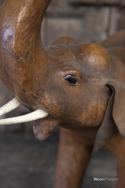 Beeld leder olifant | India