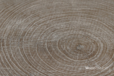 Bijzettafel oude schijf hout | China