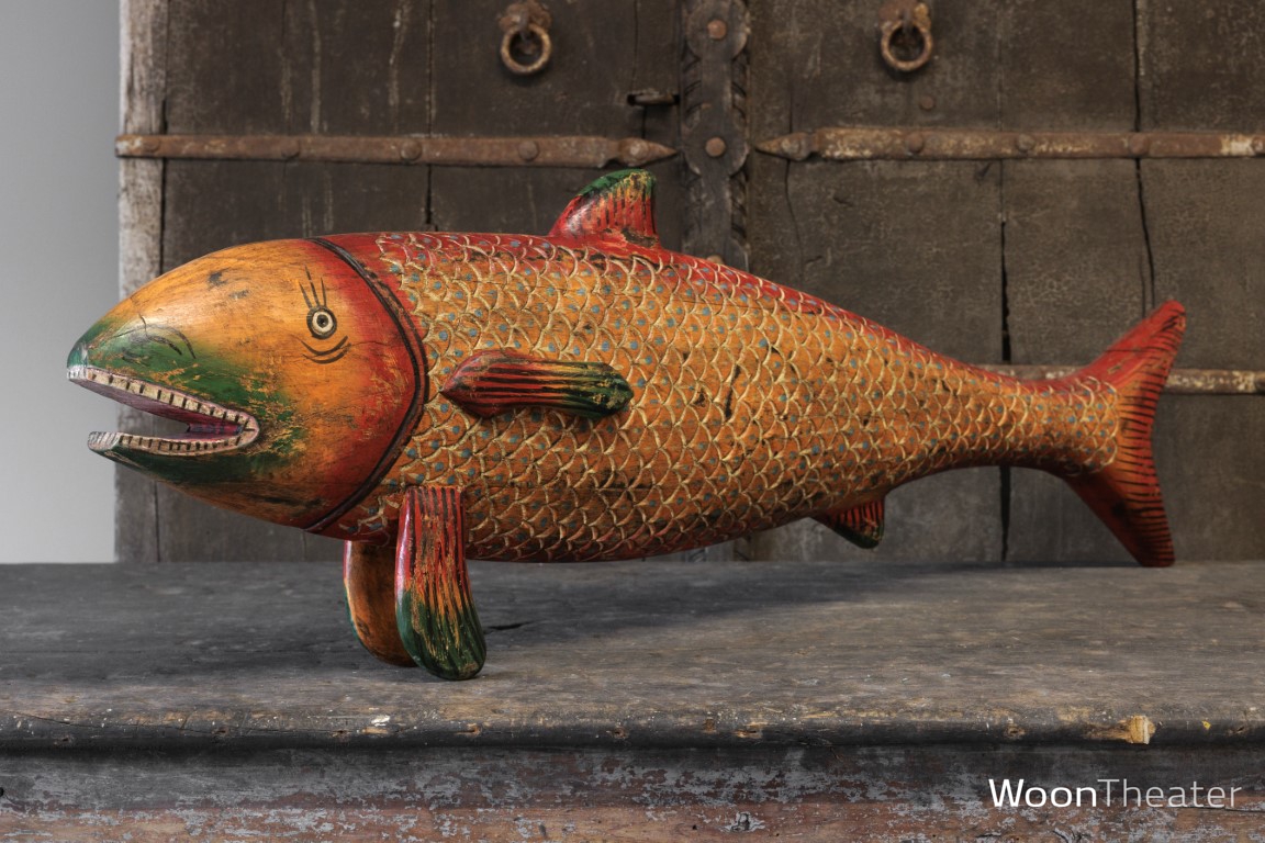 Decoratieve kleurrijke vis | India