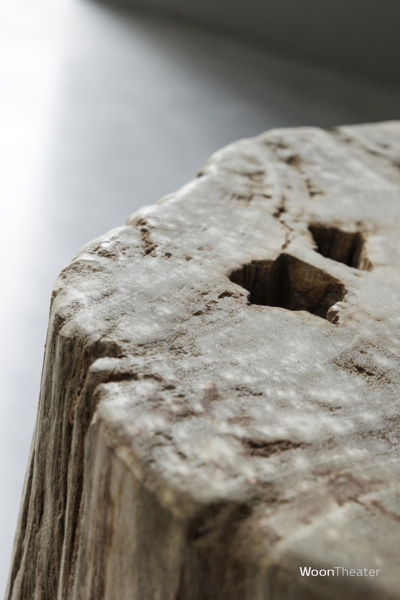 Bijzettafel versteend hout 