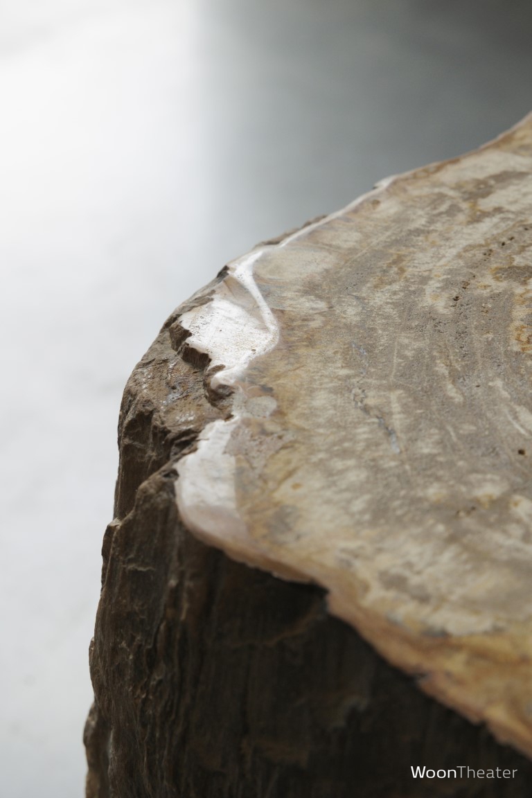 Bijzettafel versteend hout | 120 kg