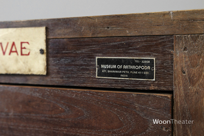 Vintage museum ladekast | authentiek exemplaar