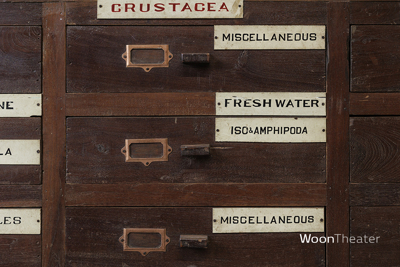Vintage museum ladekast | authentiek exemplaar