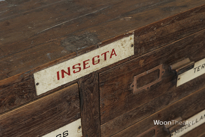 Vintage museum ladekast | authentiek exemplaar