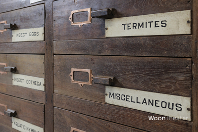 Vintage museum ladekast | authentiek exemplaar