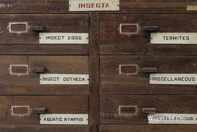 Vintage museum ladekast | authentiek exemplaar