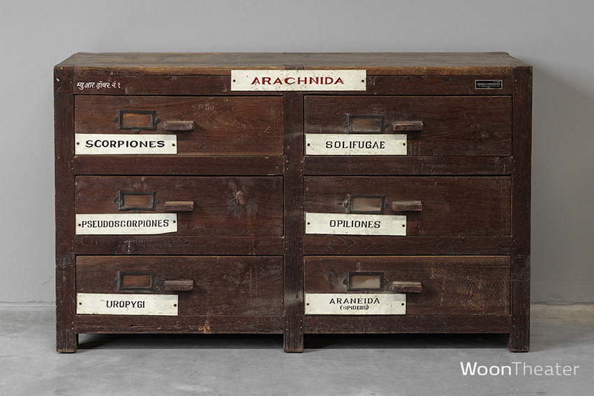 Vintage museum ladekast | authentiek exemplaar