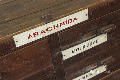 Vintage museum ladekast | authentiek exemplaar