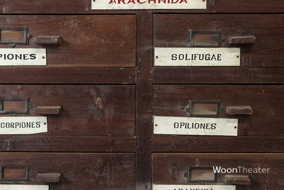 Vintage museum ladekast | authentiek exemplaar