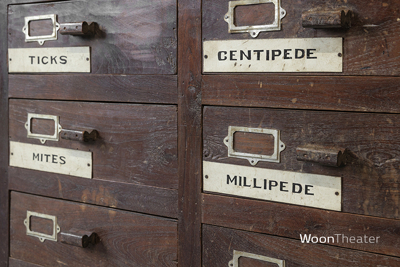 Vintage museum ladekast | authentiek exemplaar