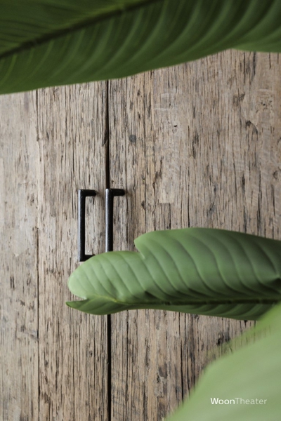 2-deurs kast Mexico | Rustiek oud hout