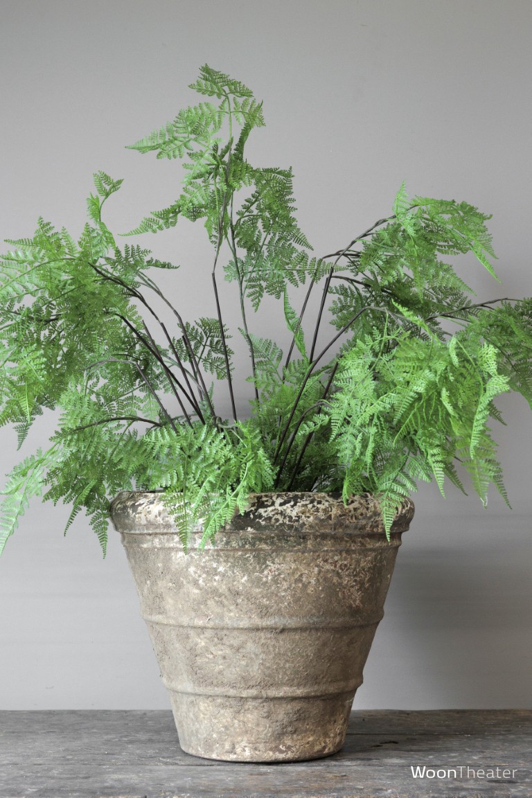 Oude plantenbak 