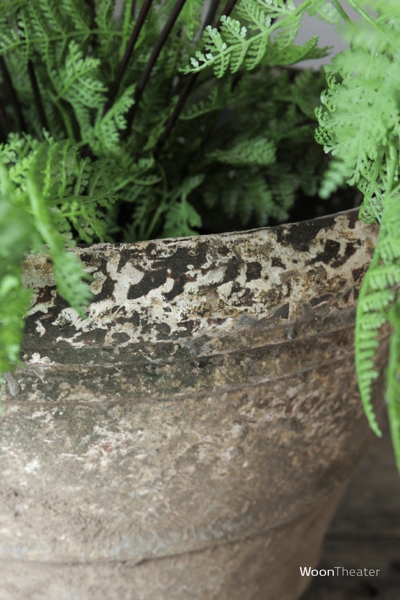Oude plantenbak 